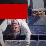 【閲覧注意】農家の男性、”ものすごい死に方” をしてしまう･･･。