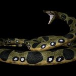 【捕食動画】飼い犬、アナコンダに食われそうになる。