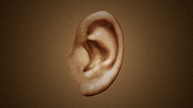 【衝撃映像】耳の中から “大量にウジ虫” 出てくるんだけど･･･。