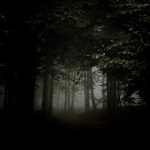 【閲覧注意】森の中で “絶対に出会いたくないもの” がコレ･･･。