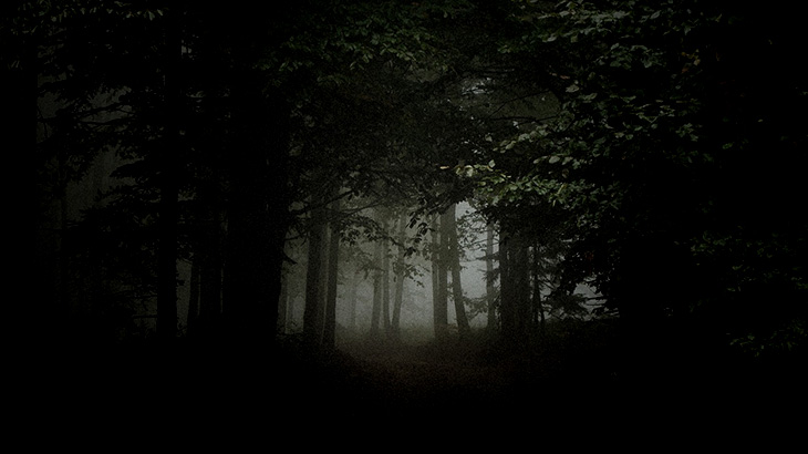 【閲覧注意】森の中で “絶対に出会いたくないもの” がコレ･･･。