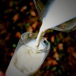 酪農業界の闇。必要のない “雄牛” の末路･･･。