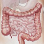 【超！閲覧注意】事故現場で “飛び出た腸” と “ちぎれた足” を撮影したグロ動画･･･。