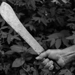 【閲覧注意】”マチェーテ” で斬られると人の身体はこうなる･･･。