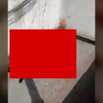 【超！閲覧注意】飛び降り自殺した男の “死体回収” グロ動画･･･。