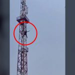 【閲覧注意】飛び降り自殺した “直後の人間の体” はこうなる。