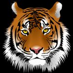 トラ「馬いるやん！食ったろ！」サーカス中に目覚めた野生。