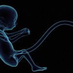 15歳女の子が路上で出産。母親「あなたにはまだ早いから捨てましょ」。