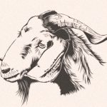 【閲覧注意】ただひたすら “子ヤギを斬首” するグロ動画。