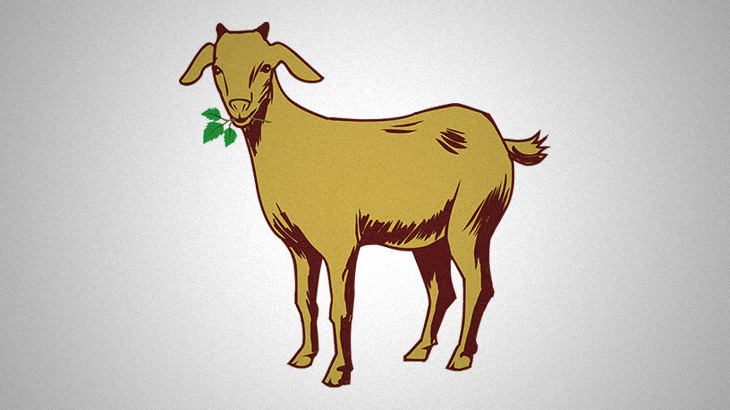 【捕食動画】ヤギ「ヒヨコうめーｗｗｗ」