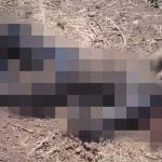 【閲覧注意】”ISISの領土” に入ってしまったパイロット、こんな姿に･･･。