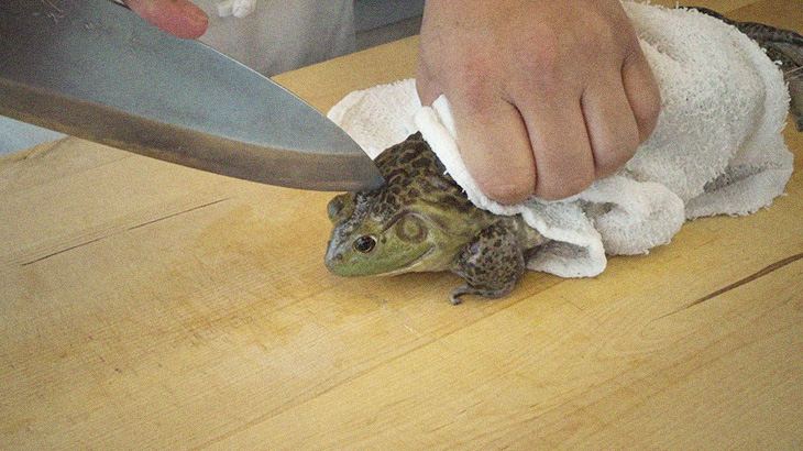 【閲覧注意】カエルを使った中華料理（広東風）の調理風景。冒頭からヤバイ･･･。