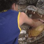 【閲覧注意】ワニ使いの男、観客の前で “恐ろしいアクシデント” を起こす。