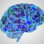 【超！閲覧注意】脳みその半分を “ウジに食われてしまった” 人間のグロ動画。