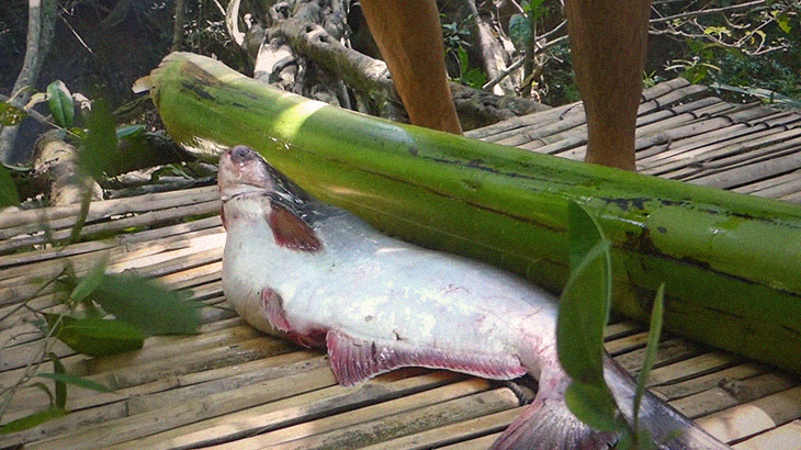 「大きな魚の腹の中にウナギが入ってたからどっちも食べるね！」