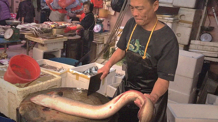 中国の魚市場 巨大魚を捌く様子がわりとグロい カルマニマ