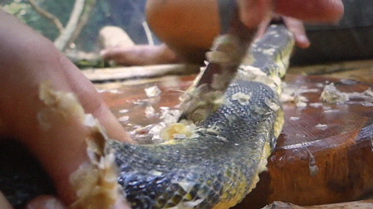 「そうだ、ヘビ食べよう」→ 山菜と混ぜて食べる料理がわりと美味しそう。