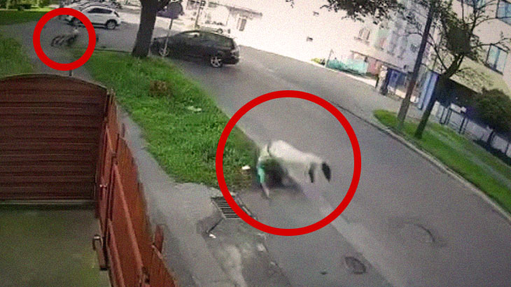 【衝撃映像】車と衝突したバイク、まるで “新体操のように” 吹き飛ばされてしまう･･･。