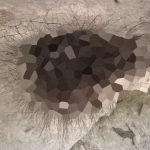 【閲覧注意】山で “コレ” を見かけたら絶対に触れないでください･･･。