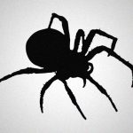 【捕食動画】クソデカイ蜘蛛にネズミの赤ちゃんをあげてみたよ！