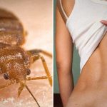 こんなベッドでセ●クスできるわけないだろ･･･。