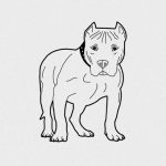 【閲覧注意】ピットブルとかいうこの犬、もうダメだろ･･･。