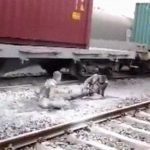 電車の上で自撮りしていた少年2人、感電してヤバイ姿に･･･。