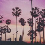 【閲覧注意】米マイアミギャングさん、まるで映画のようなことをしでかす･･･。