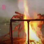 【閲覧注意】中国人「ネズミはこうやって調理して食べます」