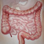 【超！閲覧注意】事故に遭った男性の腹から “腸が丸見え” になってしまったグロ動画･･･。