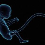 【閲覧注意】公衆トイレから出ていった女は “とんでもないもの” を置いていった。