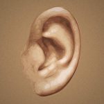 【衝撃映像】耳の中に “住みつかれたくない生き物No.1” はやっぱりコイツ･･･。