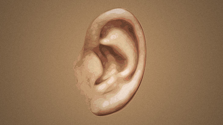 【衝撃映像】耳の中に “住みつかれたくない生き物No.1” はやっぱりコイツ･･･。