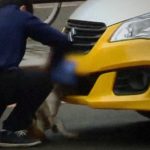 中国人の “野良犬への仕打ち” が酷すぎると世界中で話題に。