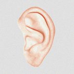 耳の中に “こんな生き物” が入り込むとか想像もしたくない･･･。