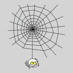 2匹のクモが “別種のクモの巣” に侵入してしまった結果･･･。