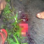 【閲覧注意】この事故現場、もうグチャグチャ･･･。