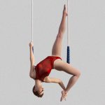 中国雑技団のアクシデント。空中ブランコが落下してヤバイことに･･･。