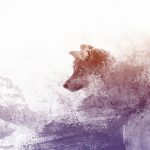 遊牧民「羊を殺したオオカミたちに復讐してやったわｗｗ」