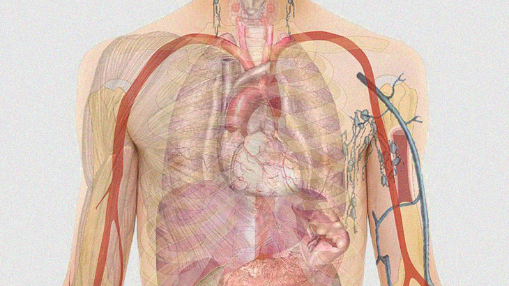 【超！閲覧注意】この男性、”動く心臓” と “肺” がまる見えになってしまったグロ動画･･･。
