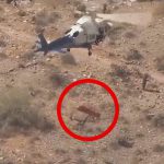 “こんな救助のされ方” は嫌すぎるけどちょっと笑った･･･。