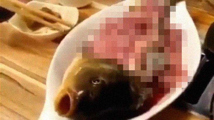 日本にも存在する ?魚の活き造り動画? に批判殺到･･･。