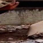 ドカタさん、作業現場で調子に乗ってしまった結果･･･。