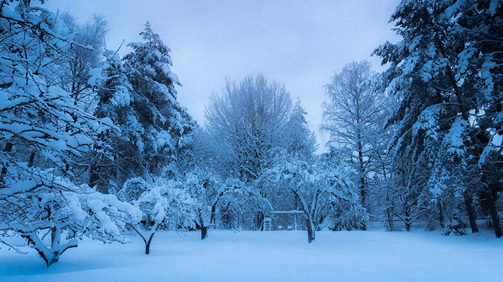 【閲覧注意】氷点下の夜に外で死亡した男性、カチカチに凍る。