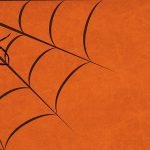 【閲覧注意】こんな超巨大なクモが家の中にいたら発狂するわ･･･。