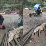 【衝撃映像】我が娘を虐待。スクーターに縛り付けて引きずる酷すぎる父親。