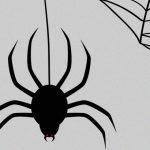 【閲覧注意】”クモ恐怖症” の人にはとてもじゃないが見れないグロ動画が怖すぎる･･･。