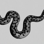 ヘビが “大量の何か” に襲われている映像。なんだこれ･･･。