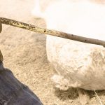 メキシコ人、捕まえた泥棒に “とんでもないこと” をしてしまう。