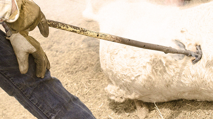 メキシコ人、捕まえた泥棒に “とんでもないこと” をしてしまう。